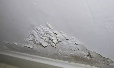 老師傅應(yīng)該如何挑選好的涂料？