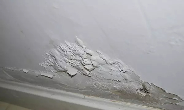 老師傅應該如何挑選好的涂料？